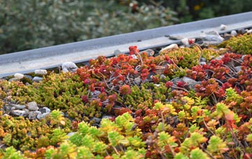 the cost of Courteachan green roof installation