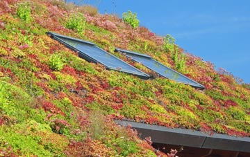 Courteachan living roof systems