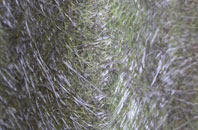 Courteachan fibreglass roof work